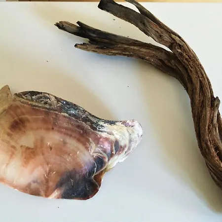 Fischerhus Luett Hauke 75 Qm Annerose * Altwarp