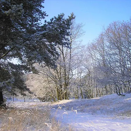 Daire Fischerhus Luett Hauke 75 Qm Annerose *