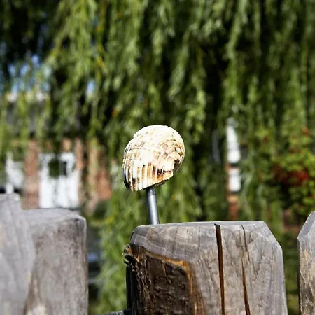 Fischerhus Luett Hauke 75 Qm Annerose Altwarp