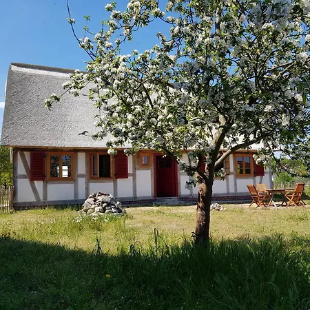 Apartment Fischerhus Lütt Hauke 75 Qm Annerose