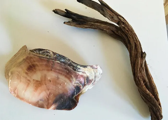 Fischerhus Lütt Hauke 75 Qm Annerose * Altwarp